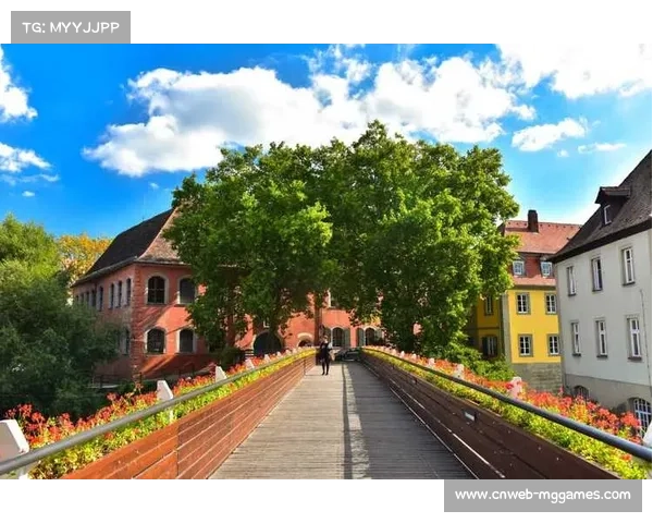 残疾球迷无障碍观赛计划实施，德甲球场改造进度报告