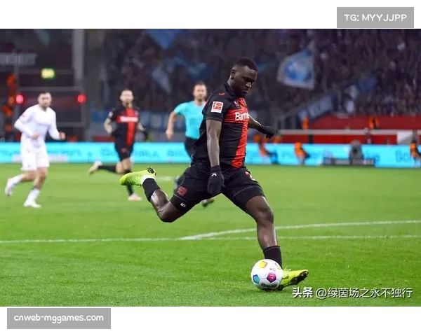 德甲俱乐部转会市场财务表现：本菲卡过去五年盈利3.46亿欧元位居全球首位